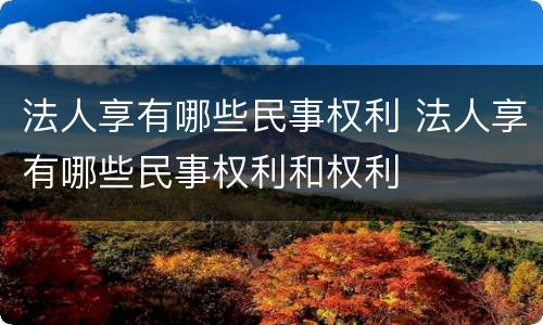 法人享有哪些民事权利 法人享有哪些民事权利和权利