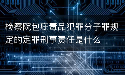 检察院包庇毒品犯罪分子罪规定的定罪刑事责任是什么