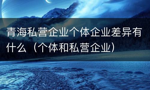 青海私营企业个体企业差异有什么（个体和私营企业）