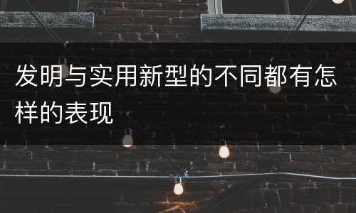 发明与实用新型的不同都有怎样的表现