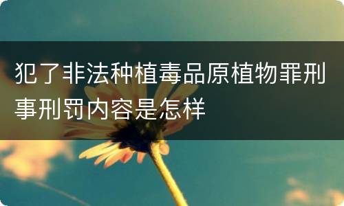 犯了非法种植毒品原植物罪刑事刑罚内容是怎样