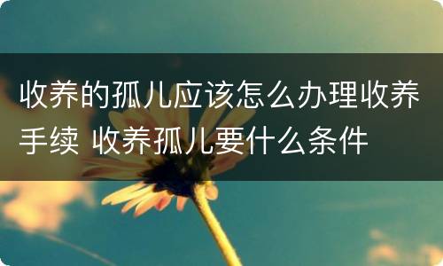 收养的孤儿应该怎么办理收养手续 收养孤儿要什么条件