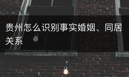 贵州怎么识别事实婚姻、同居关系