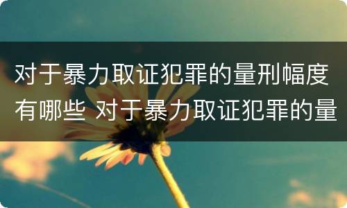 对于暴力取证犯罪的量刑幅度有哪些 对于暴力取证犯罪的量刑幅度有哪些要求