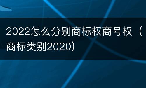 2022怎么分别商标权商号权（商标类别2020）