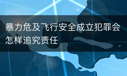 暴力危及飞行安全成立犯罪会怎样追究责任