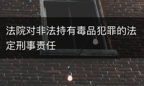 法院对非法持有毒品犯罪的法定刑事责任