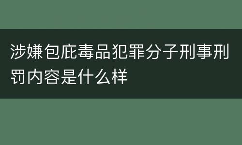 涉嫌包庇毒品犯罪分子刑事刑罚内容是什么样