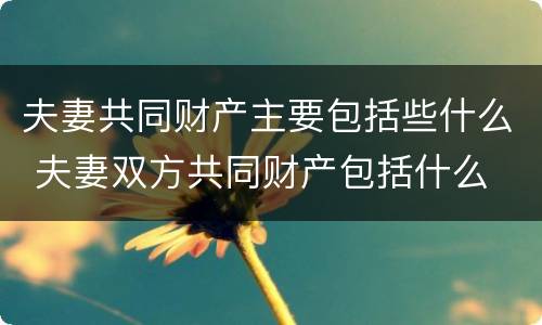 夫妻共同财产主要包括些什么 夫妻双方共同财产包括什么