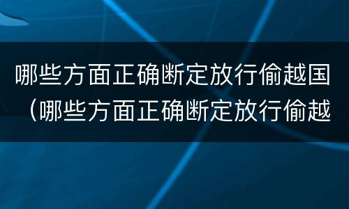 哪些方面正确断定放行偷越国（哪些方面正确断定放行偷越国货物）