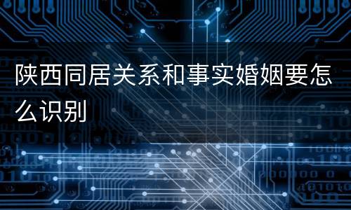 陕西同居关系和事实婚姻要怎么识别