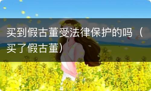 买到假古董受法律保护的吗（买了假古董）