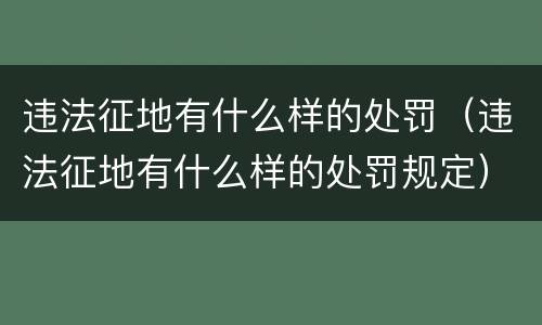违法征地有什么样的处罚（违法征地有什么样的处罚规定）