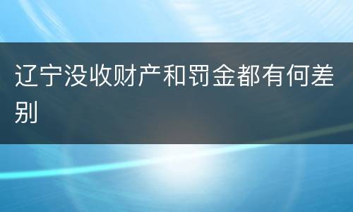 辽宁没收财产和罚金都有何差别