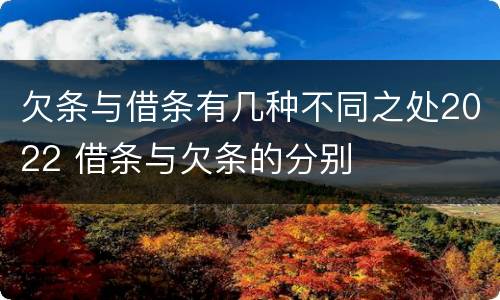 欠条与借条有几种不同之处2022 借条与欠条的分别