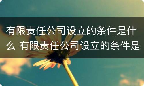 有限责任公司设立的条件是什么 有限责任公司设立的条件是什么?需要什么程序?