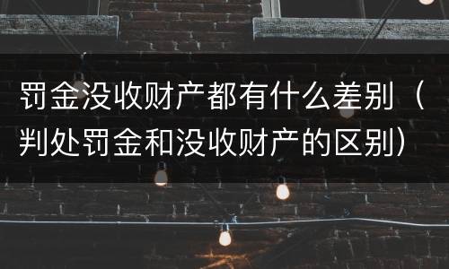 罚金没收财产都有什么差别（判处罚金和没收财产的区别）