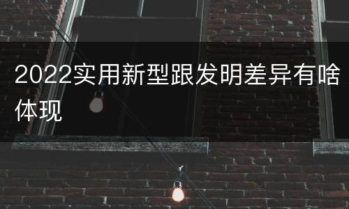 2022实用新型跟发明差异有啥体现