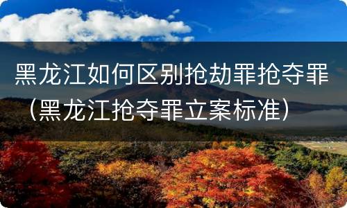 黑龙江如何区别抢劫罪抢夺罪（黑龙江抢夺罪立案标准）