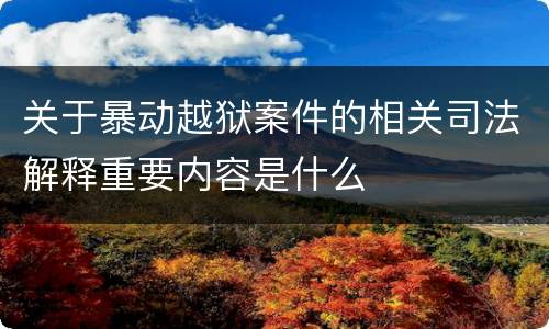 关于暴动越狱案件的相关司法解释重要内容是什么