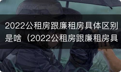 2022公租房跟廉租房具体区别是啥（2022公租房跟廉租房具体区别是啥呀）
