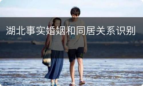 湖北事实婚姻和同居关系识别