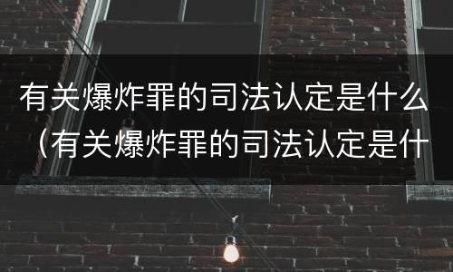 有关爆炸罪的司法认定是什么（有关爆炸罪的司法认定是什么案件）