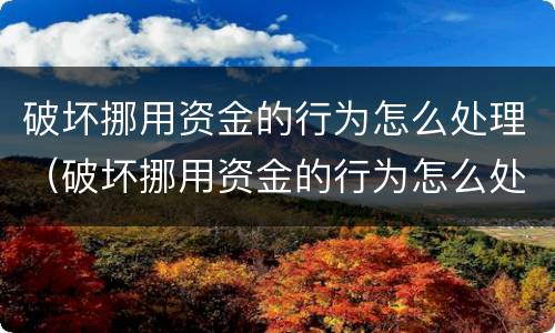 破坏挪用资金的行为怎么处理（破坏挪用资金的行为怎么处理好）