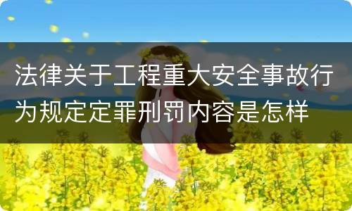 法律关于工程重大安全事故行为规定定罪刑罚内容是怎样