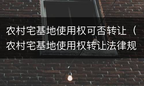 农村宅基地使用权可否转让（农村宅基地使用权转让法律规定）