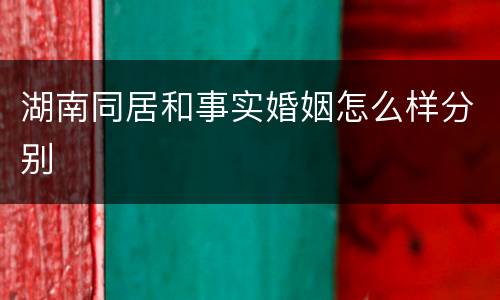 湖南同居和事实婚姻怎么样分别
