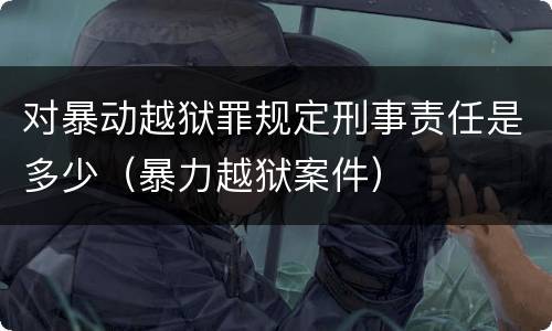 对暴动越狱罪规定刑事责任是多少（暴力越狱案件）
