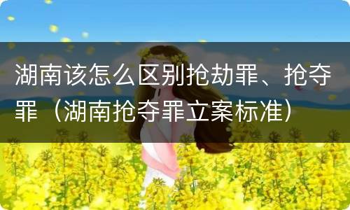 湖南该怎么区别抢劫罪、抢夺罪（湖南抢夺罪立案标准）