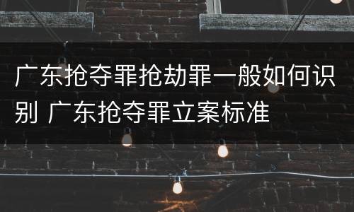 广东抢夺罪抢劫罪一般如何识别 广东抢夺罪立案标准