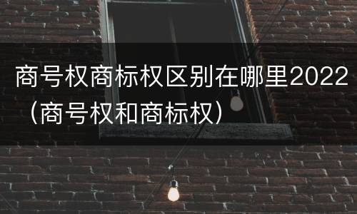 商号权商标权区别在哪里2022（商号权和商标权）