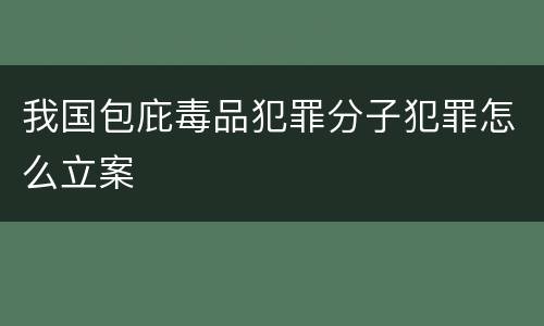 我国包庇毒品犯罪分子犯罪怎么立案