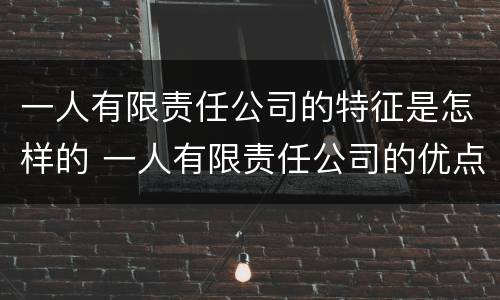 一人有限责任公司的特征是怎样的 一人有限责任公司的优点