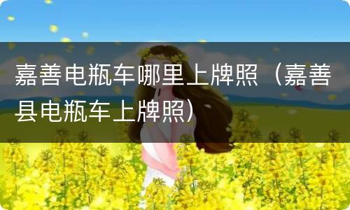 嘉善电瓶车哪里上牌照（嘉善县电瓶车上牌照）