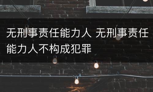 无刑事责任能力人 无刑事责任能力人不构成犯罪
