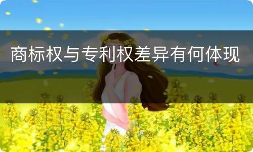 商标权与专利权差异有何体现