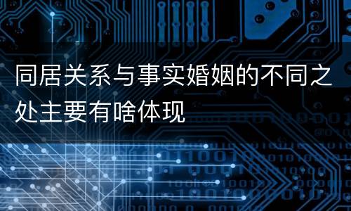 同居关系与事实婚姻的不同之处主要有啥体现