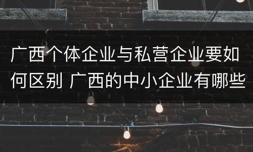 广西个体企业与私营企业要如何区别 广西的中小企业有哪些