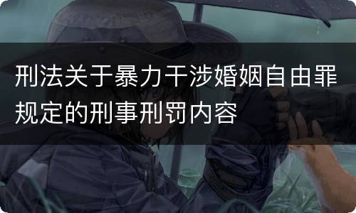 刑法关于暴力干涉婚姻自由罪规定的刑事刑罚内容