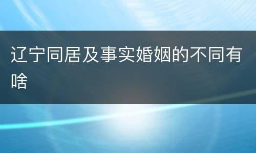 辽宁同居及事实婚姻的不同有啥