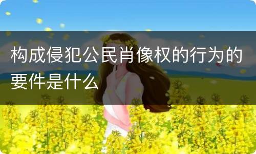 构成侵犯公民肖像权的行为的要件是什么