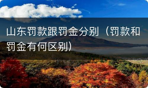 山东罚款跟罚金分别（罚款和罚金有何区别）