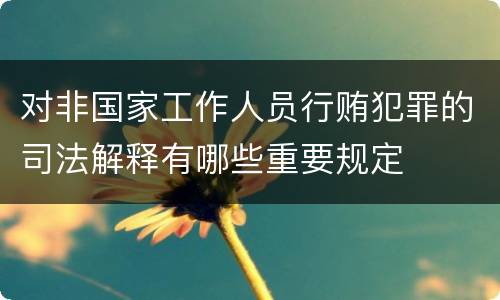 对非国家工作人员行贿犯罪的司法解释有哪些重要规定