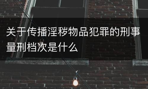 关于传播淫秽物品犯罪的刑事量刑档次是什么