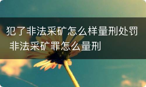 犯了非法采矿怎么样量刑处罚 非法采矿罪怎么量刑
