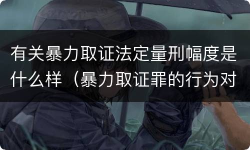 有关暴力取证法定量刑幅度是什么样（暴力取证罪的行为对象）